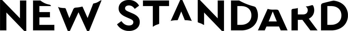 logo_NEWSTANDARD